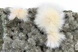 Thomsonite-Mesolite Crystal Aggregates - India #322527-1
